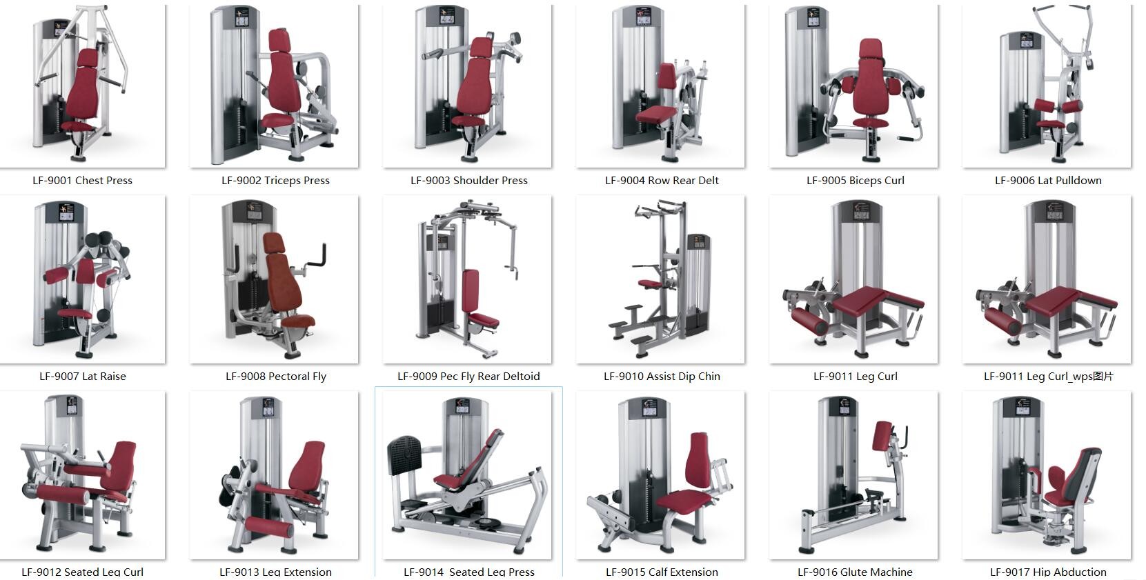 GYM FITNESS- Signature 